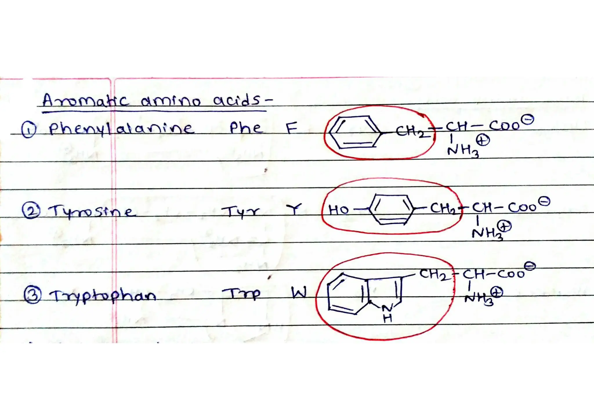 Aromatic Amino acids | PDF