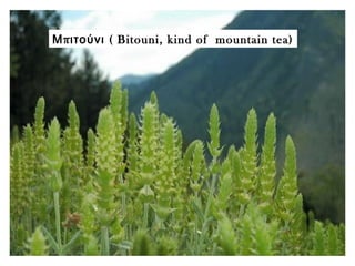 π (Μ ιτούνι Bitouni, kind of mountain tea)
 