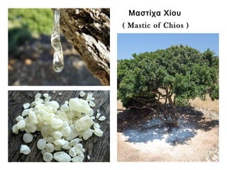 Μαστίχα Χίου
( Mastic of Chios )
 