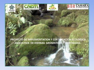 PROYECTO DE IMPLEMENTACION Y CERTIFICACION ECOLOGICA ASOCIATIVA  DE HIERBAS  AROMATICAS Y HORTALIZAS.  