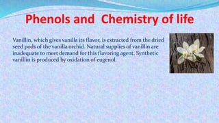 Vanillin, which gives vanilla its flavor, is extracted from the dried
seed pods of the vanilla orchid. Natural supplies of vanillin are
inadequate to meet demand for this flavoring agent. Synthetic
vanillin is produced by oxidation of eugenol.
Phenols and Chemistry of life
 