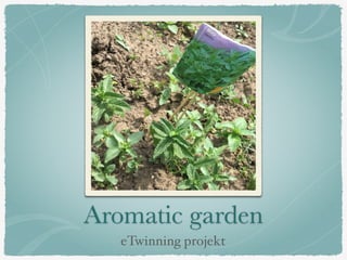 Aromatic garden
eTwinning projekt
 