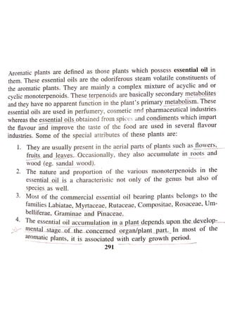 Aromatic plants importance