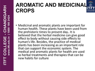 AROMATIC AND MEDICINAL
CROPS
• Medicinal and aromatic plants are important for
human health. These plants have been used from
the prehistoric times to present day.. It is
believed that the herbal medicine can give good
effect to body without causing side effects to
human’s life. Besides, the practice of medical
plants has been increasing as an important role
that can support the economic system. The
medical and aromatic plants for health are used
as herbal treatments and therapies that can be
new habits for culture
 