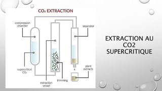 EXTRACTION AU
CO2
SUPERCRITIQUE
 