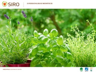 HARTMUT NESTLER | APOIO TÉCNICO
O PODER DAS ERVAS AROMÁTICAS
 