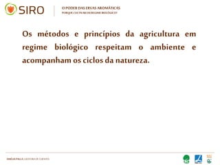 HARTMUT NESTLER | APOIO TÉCNICO
O PODER DAS ERVAS AROMÁTICAS
PORQUE CULTIVAR EM REGIME BIOLÓGICO?
Os métodos e princípios da
agricultura em regime biológico
respeitam o ambiente e
acompanham os ciclos da
natureza.
 