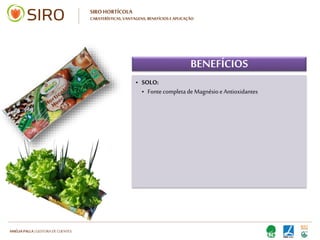 HARTMUT NESTLER | APOIO TÉCNICO
SIRO HORTÍCOLA
CARATERÍSTICAS, VANTAGENS, BENEFÍCIOS E APLICAÇÃO
BENEFÍCIOS
• SOLO:
• Fonte completa de Magnésio e
Antioxidantes
• Fonte completa de nutrientes
• PLANTA:
• Sabor e coloração genuínos dos vegetais
• Aumenta a resistência contra pragas e
doenças
• Proporciona uma nutrição completa da
planta
• SOLO:
• Fonte completa de Magnésio e
Antioxidantes
• Fonte completa de nutrientes
• PLANTA:
• Sabor e coloração genuínos dos vegetais
• Aumenta a resistência contra pragas e
doenças
• Proporciona uma nutrição completa da
planta
 