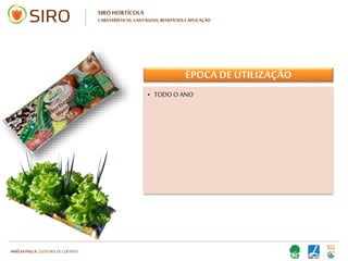 HARTMUT NESTLER | APOIO TÉCNICO
SIRO HORTÍCOLA
CARATERÍSTICAS, VANTAGENS, BENEFÍCIOS E APLICAÇÃO
ÉPOCA DE UTILIZAÇÃO
• TODO O ANO• TODO O ANO
 