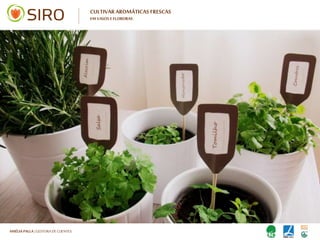 HARTMUT NESTLER | APOIO TÉCNICO
CULTIVAR AROMÁTICAS FRESCAS
EM VASOS E FLOREIRAS
 