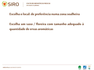 HARTMUT NESTLER | APOIO TÉCNICO
CULTIVAR AROMÁTICAS FRESCAS
NOVIDADE: FLOREIRA VERTICAL
 