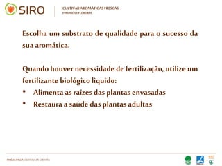 HARTMUT NESTLER | APOIO TÉCNICO
Escolha o local: de preferência numa
zona soalheira
Escolha um vaso / floreira com
tamanho adequado à quantidade de
ervas aromáticas
CULTIVAR AROMÁTICAS FRESCAS
EM VASOS E FLOREIRAS
 