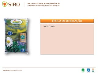 HARTMUT NESTLER | APOIO TÉCNICO
SIRO PLANTAS MEDICINAIS E AROMÁTICAS
CARATERÍSTICAS, VANTAGENS, BENEFÍCIOS E APLICAÇÃO
APLICAÇÃO
• VASOS
• FLOREIRAS
• CANTEIROS
• TABULEIROS DE GERMINAÇÃO
• VASOS
• FLOREIRAS
• CANTEIROS
• TABULEIROS DE GERMINAÇÃO
 
