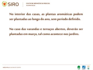 HARTMUT NESTLER | APOIO TÉCNICO
CULTIVAR AROMÁTICAS FRESCAS
ALGUMAS DICAS
 