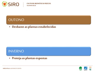 HARTMUT NESTLER | APOIO TÉCNICO
PRIMAVERA
• Arranque o musgo e ervas daninhas
• Alimente as plantas envasadas
• Combata as pragas
VERÃO
• Corte as flores
CULTIVAR AROMÁTICAS FRESCAS
ALGUMAS DICAS
 