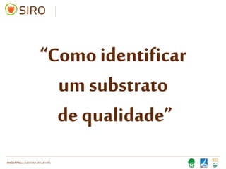 HARTMUT NESTLER | APOIO TÉCNICO
“Como identificar
um substrato
de qualidade”
 