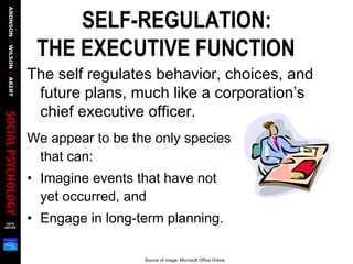 SELF-REGULATION:
THE EXECUTIVE FUNCTION  
The self regulates behavior, choices, and
future plans, much like a corporation’s
chief executive officer.
We appear to be the only species
that can:
• Imagine events that have not
yet occurred, and
• Engage in long-term planning.
Source of image: Microsoft Office Online.
 