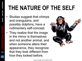 THE NATURE OF THE SELF
• Studies suggest that chimps
and orangutans, and
possibly dolphins, have a
rudimentary self-concept.
• They realize that the image
in the mirror is themselves
and not another animal, and
when someone alters their
appearance, they recognize
that they look different from
how they looked before.
Source of image: Microsoft Office Online.
 