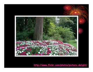 Amazing Pictures Absolutely Stunning