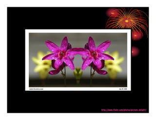 Amazing Pictures Absolutely Stunning