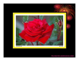 Amazing Pictures Absolutely Stunning