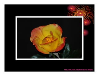 Amazing Pictures Absolutely Stunning