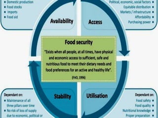 Sustainable Food Production System | PPTX
