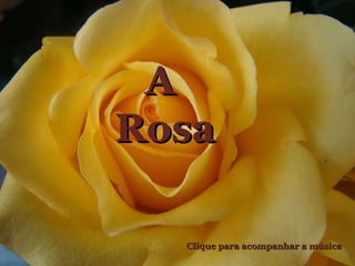 A  Rosa Clique para acompanhar a música 