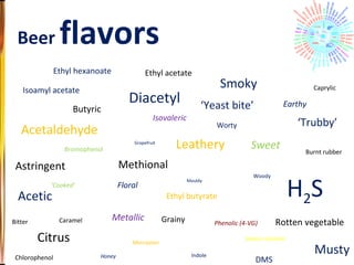 Beer  flavors  Acetaldehyde Acetic Astringent Bitter Bromophenol Burnt rubber Butyric Caprylic Caramel Chlorophenol Citrus ‘ Cooked’ Diacetyl DMS Earthy Ethyl acetate Ethyl butyrate Ethyl hexanoate Floral Grainy Grapefruit H 2 S Honey Indole Isoamyl acetate Isovaleric Leathery Malty Mercaptan Metallic Methional Mouldy ‘ Yeast bite’ Worty Woody ‘ Trubby’ Sweet Solvent alcoholic Smoky Rotten vegetable Phenolic (4-VG) Musty 