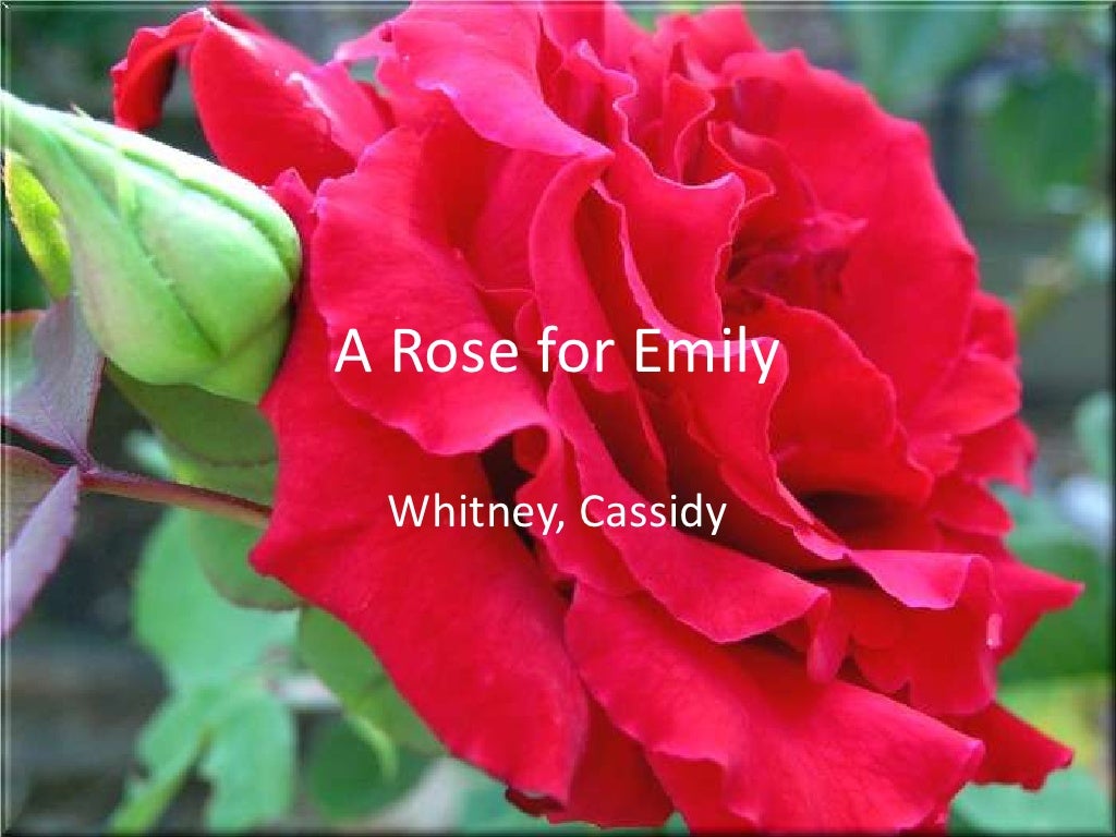 A rose for emily