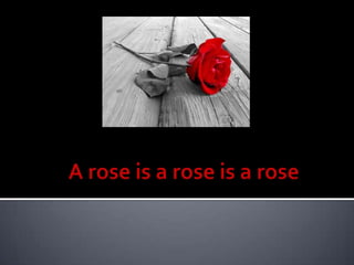 A rose is a rose is a rose 
