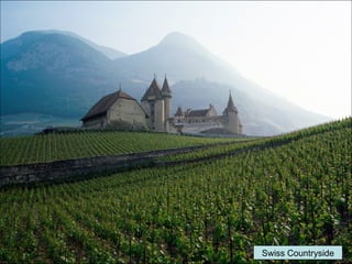 Swiss Countryside 