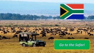 • sudafrica
Go to the Safari
 