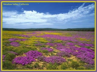 Meadow Valley, California