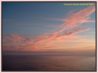 Channel Islands National Park