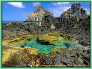 Tide Pool Fernando de Noronha National Marine Sanctuary, Brazil