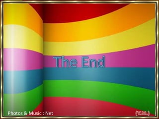 The End(V.M.)Photos & Music : Net