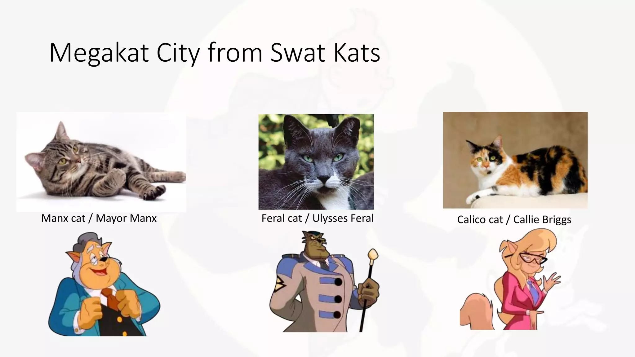 Megakat City from Swat Kats
Manx cat / Mayor Manx Feral cat / Ulysses Feral Calico cat / Callie Briggs
 