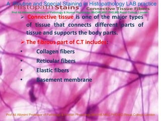  Connective tissue is one of the major types
of tissue that connects different parts of
tissue and supports the body parts.
 The fibrous part of C.T includes:
• Collagen fibers
• Reticular fibers
• Elastic fibers
• Basement membrane
Connective Tissue Fibers
Histopath Stains
Prof Ali Altimimi Professor of Pathology & Human Physiology,MbCHB,MSC,PHD,MD.Royal College London
A Routine and Special Staining in Histopathology LAB practice
1
Prof Ali Altimimi Professor of Pathology & Human Physiology,MbCHB,MSC,PHD,MD.Royal College London
 