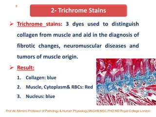 Routine Staining A Routine and Special Staining in Histopathology LAB practice lec ...