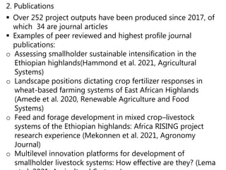 2. Publications
 Over 252 project outputs have been produced since 2017, of
which 34 are journal articles
 Examples of peer reviewed and highest profile journal
publications:
o Assessing smallholder sustainable intensification in the
Ethiopian highlands(Hammond et al. 2021, Agricultural
Systems)
o Landscape positions dictating crop fertilizer responses in
wheat-based farming systems of East African Highlands
(Amede et al. 2020, Renewable Agriculture and Food
Systems)
o Feed and forage development in mixed crop–livestock
systems of the Ethiopian highlands: Africa RISING project
research experience (Mekonnen et al. 2021, Agronomy
Journal)
o Multilevel innovation platforms for development of
smallholder livestock systems: How effective are they? (Lema
 