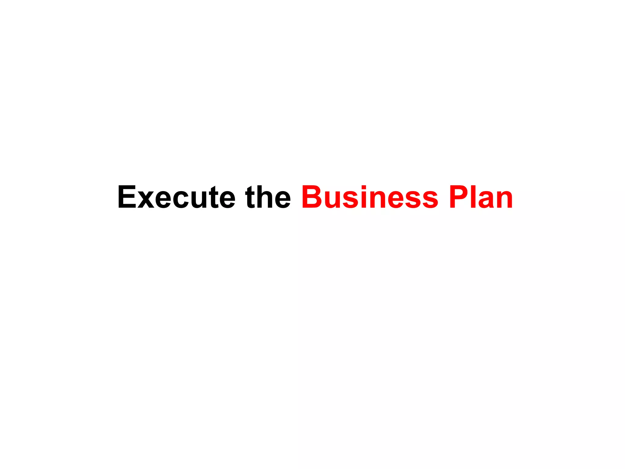 Execute the Business Plan
 