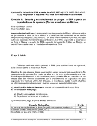 Conducción del análisis: EUA a través de APHIS, USDA (USDA. BATS PPQ APHIS.
1995). Adaptación al esquema FAO, fotos e ilustraciones: Gustavo Mora
Ejemplo 1: Entrada y establecimiento de plagas a EUA a partir deEjemplo 1: Entrada y establecimiento de plagas a EUA a partir de
importaciones de aguacate (importaciones de aguacate (Persea americanaPersea americana) de México.) de México.
País exportador: México
País importador: EUA
Antecendentes históricos. Las exportaciones de aguacate de México y Centroamérica
se prohibieron a partir de 1914 debido a la detección del barrenador de la semilla
Helipus lauri (Coleoptera:Curculionidae). En 1973 una cuarentena específica para este
cultivo se estableció formalmente (Cuarentena 56). En 1993, se permitió la exportación
de fruta a Alaska y a partir de 1997, producto del presente Análisis de Riesgo, se
permitió las exportaciones a 19 estados del noreste de EUA.
Etapa 1. InicioEtapa 1. Inicio
Gobierno Mexicano solicita permiso a EUA para exportar frutos de aguacate.
Esta solicitud define el inicio de un ARPA.
Objetivo: En esta etapa se desea con si existen plagas con potencial cuarentenario. No
necesariamente se específica cuales de ellas son de importancia cuarentenaria real.
En la Regulación Mexicana la información requerida para el ARPA en cualquiera de sus
etapas debe ser remitida oficialmente por el Departamento de Agricultura del país
exportador (ver Formato CI-03). Sin embargo, el investigador puede recurrir a fuentes
de información adicionales siempre y cuando tengan un sustento bibliográfico.
A) Identificación de la vía de entrada: medios de introducción de frutos a EUA
B) Identificación de la plaga:
a) El cultivo como plaga por sí mismo .
b) Organismos portados por el producto.
a) el cultivo como plaga. Especie: Persea americana
Consulta Bibliográfica Si o No
La especie esta enlistada en el Atlas Geográfico de malezas en el mundo NO
Citado en World´s worst weeds (Holm, 1977) N0
Reportado por Gun and Ritchie (1982) NO
G. Mora Aguilera Curso de Postgrado. Análisis de Riesgo de Plagas Cuarentenarias Mayo 2003 Guatemala CA 1
 