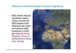 • NAO (North Atlantic
Oscillation Index)
Indice mensile del
NAO basata sulla
differenza dei valori
normalizzati della
pressione a livello
del mare tra Ponta
Delgada, Azorre e
Stykkisholmur/Reykj
avik, Islanda
Relazione clima/fenologia avifauna migratoria
Collaborazione con DBIOS Università di Torino, prof. Enrico CAPRIO
 