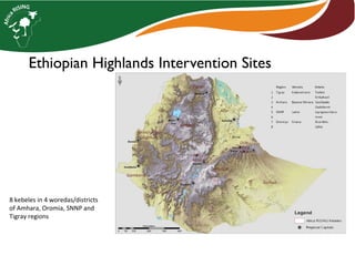 Ethiopian Highlands Intervention Sites
8 kebeles in 4 woredas/districts
of Amhara, Oromia, SNNP and
Tigray regions
 