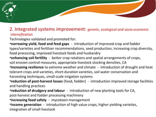 2. Integrated systems improvement: genetic, ecological and socio-economic
intensification
Technologies validated and promoted for:
•narrowing yield, food and feed gaps - introduction of improved crop and fodder
types/varieties and fertilizer recommendations, seed production, increasing crop diversity,
food processing, improved livestock feeds and husbandry
•enhancing soil fertility - better crop rotations and spatial arrangements of crops,
soil erosion control measures, appropriate livestock stocking densities, CA
•increasing resilience to extreme weather and climate - introduction of drought and heat
tolerant crops and varieties, short-duration varieties, soil water conservation and
harvesting techniques, small-scale irrigation systems
•reduction of post-harvest losses (food, fodder) - introduction improved storage facilities
and handling practices
•reduction of drudgery and labour - introduction of new planting tools for CA,
post-harvest and fodder processing machinery
•increasing food safety - mycotoxin management
•income generation - introduction of high value crops, higher yielding varieties,
integration of small livestock
 