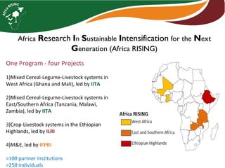 Africa Research In Sustainable Intensification for the Next
Generation (Africa RISING)
One Program - four Projects
1)Mixed Cereal-Legume-Livestock systems in
West Africa (Ghana and Mali), led by IITA
2)Mixed Cereal-Legume-Livestock systems in
East/Southern Africa (Tanzania, Malawi,
Zambia), led by IITA
3)Crop-Livestock systems in the Ethiopian
Highlands, led by ILRI
4)M&E, led by IFPRI
>100 partner institutions
>250 individuals
 