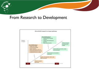 From Research to Development
 