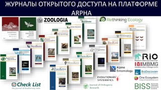 ЖУРНАЛЫ ОТКРЫТОГО ДОСТУПА НА ПЛАТФОРМЕ
ARPHA
 
