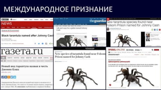 МЕЖДУНАРОДНОЕ ПРИЗНАНИЕ
 